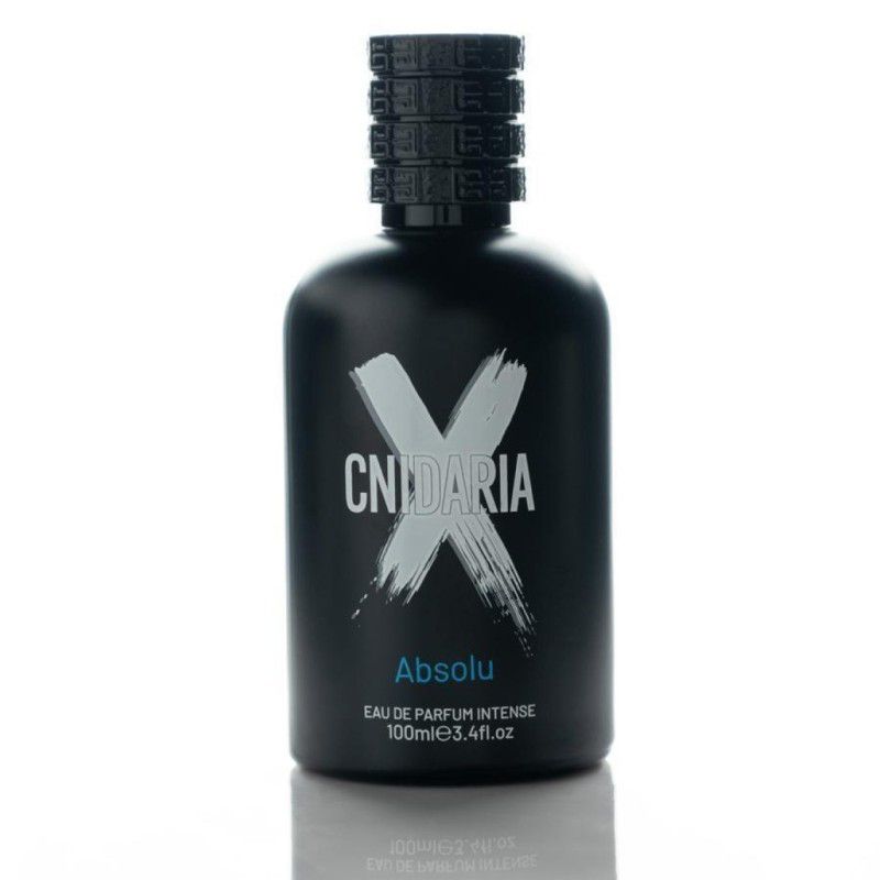 ABSOLU EAU DE PARFUM INTENSE 100 ML